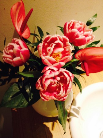 チューリップ　アンスリューム