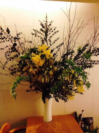 ミモザアカシア　コデマリ　ユーカリ