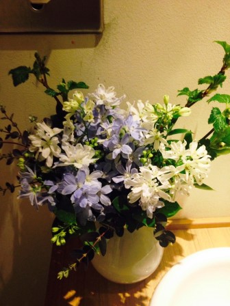 デルフィニュウム　木苺