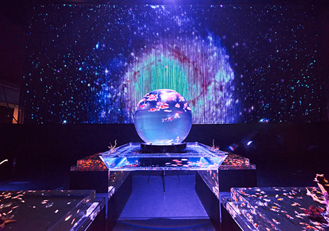 アースアクアリズム