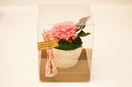 母の日の花　ケース入り