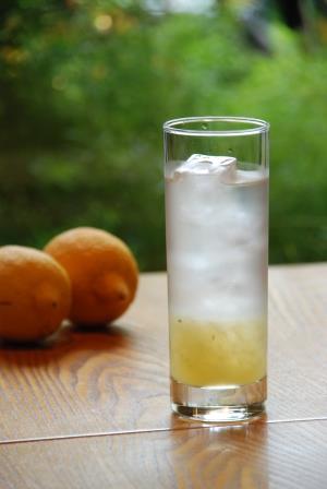 アイスレモネード