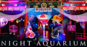 2017アートアクアリウム