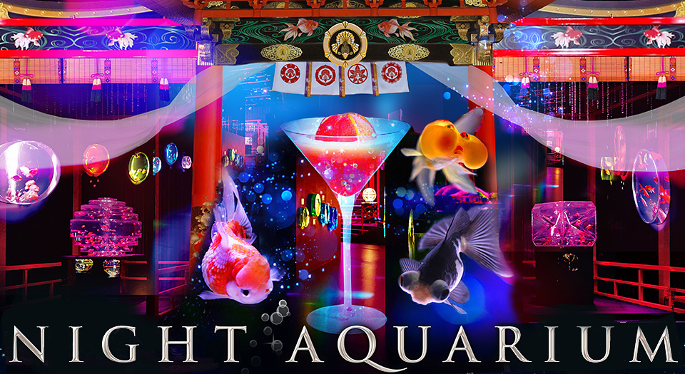 2017アートアクアリウム